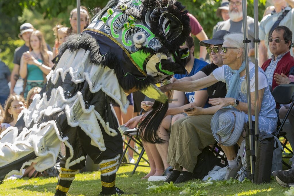 lion dance